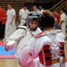 Sysman Open Nemzetközi Karateverseny