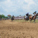 Bor és laskafesztivál - II