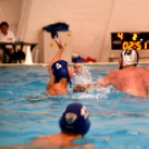 Ceglédi VSE - Gyöngyös