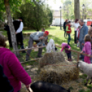 Régi idők piacztere - fotó: Kisfaludi István