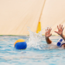 Ceglédi Vasutas Sport Egyesület - Kanizsa Vízilabda SE 7:8