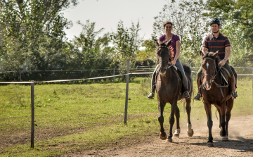 Lovasoktatás nem csak gyerekeknek