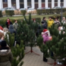 Karácsonyfa díszítő verseny