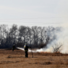 Száraz növényzet égett