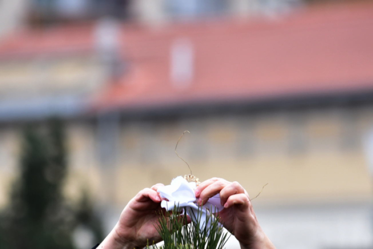 Karácsonyfa díszítő verseny