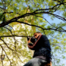 650 perc sport - biciklis felvonulás