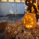 Az idén is tök jó volt…