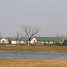 Belvízkárok Cegléden