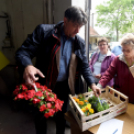 Szebb, virágosabb Ceglédért