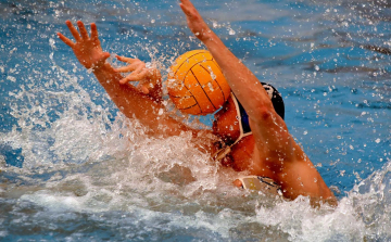 Ez a pofon időben jött