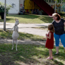 Szent István ünnepe a Gubody kertben