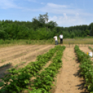 Ugyeri családokon segítettek