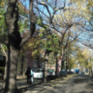 Halló Cegléd - Rákóczi út