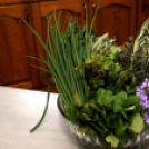 Boszorkánykonyha I.