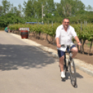 Nyitott Pince Napok - Kökény és Fia Családi Borászat