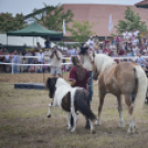 A lovak nyelvén – Hamza Viktória