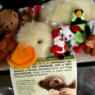 Kórház gyermekosztály adomány átadása