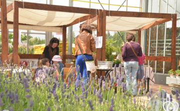 Így telt a Rózsák Hétvégéje...