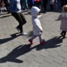 Magyar költészet napja