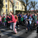 ,,Megyénk körül - megyünk körül''