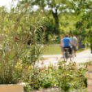 Nyitott Pince Napok - Kökény és Fia Családi Borászat