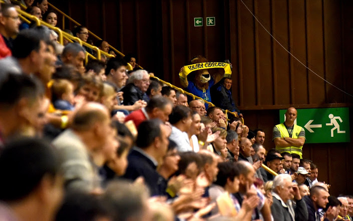 Négy ceglédi a legjobbak között