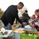 Tekerd be Ceglédet!