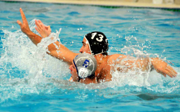 Ceglédi medence csaták