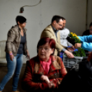 6 ezer palánta a Szebb-virágosabb Ceglédért 🌼