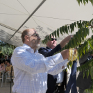 Városi Strandfürdő - Bokrétaünnep