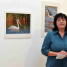 A Duna-Delta Szárazföldi- és Vízi Madárvilága