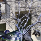 Az ismeretlen Cegléd