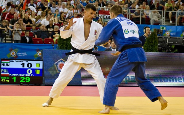 Ungvári Miklóst megválasztották