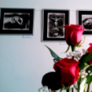 BAÁN KATALIN fotókiállítása(telefonos fotóriport)