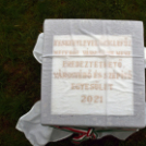 Czigle fűzfákat ültettek a Malom térre