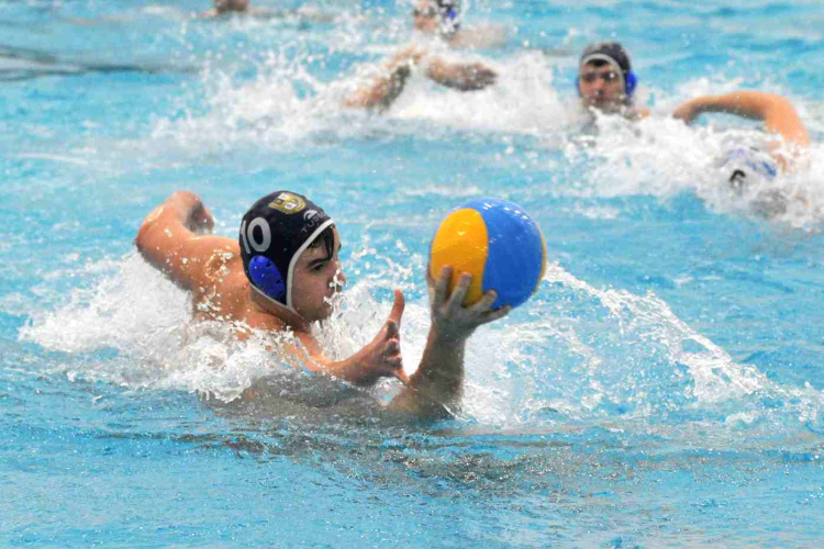 Ceglédi Vasutas Sport Egyesület - PVSK PSN (Pécs) 13:10