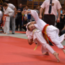 Judo Kupa Cegléden