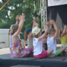 Bor és laskafesztivál - I