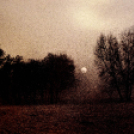 CEGLÉDI ALKOTÓK EGYESÜLETE - FOTÓ szekció