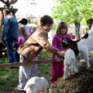Régi idők piacztere - fotó: Kisfaludi István