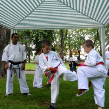 Ceglédi sportágválasztó