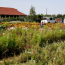 Kováts Zoltán Emlékülés Csemőben