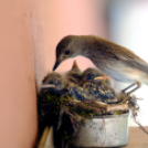 Egy halkonzervnyi gondoskodás