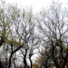 Autizmus Világnapja Cegléden