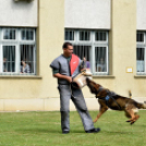 Honvédelmi napot tartottak a Mezgázban