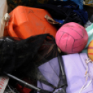 Városi Strandfürdő - Tereprendezés I.