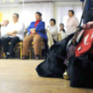 Gyengén látók karácsonya