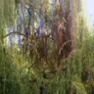 Halló Cegléd! - Kisfaludi István fotósorozata