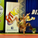 Fit Kid diákolimpia helyszíne volt újra Cegléd