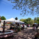 Virágvásár és főzőfesztivál Csemőben